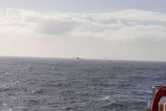 Running from Storm: South Georgia to Falkland Islands