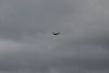 A fighter jet doing practice runs flew over us several times