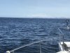 Waters did calm but started a bit rough; note the Fairweather coastal mountains ahead!!
