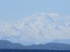 IMG_7525