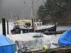 We met Dave on his Diesel Duck trawler; he arrived a few days before us and will be working in Elfin Cove for the season