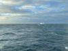 Yes, an iceberg from Antarctica.~800-1200 miles....wow!!!