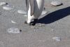 Those are some toenails!!