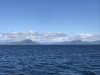 IMG_0891