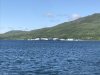 That's the Ocean Beauty Cannery we will visit the next day