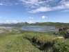 IMG_0993