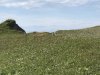 IMG_1026