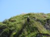Bald Eagle along the way!!