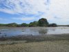 IMG_5889