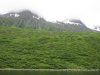 IMG_5949