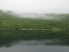 IMG_5965