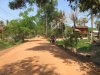 Scenes from the quad bike.....the ride was a bit dusty