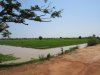 Rice paddies