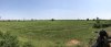 A panoramic view
