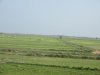 IMG_1736