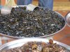 Water beetles