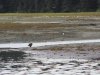 IMG_6783