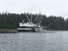 A typical scene; a fisherman offloading his catch to a tender