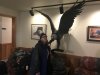 Kathy getting some Eagle luv!!
