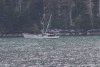 Typical troller fisherman trolling for King salmon