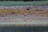 IMG_9259-2