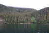 Views from our anchorage in Forevergreen Cove in Puffin Bay