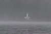 Lighthouse at Cape Decision
