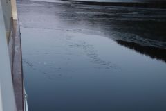 Sitka to Wrangell, April 2022