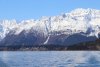 One last look at Haines