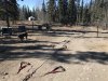 Michele getting ready to harness the 16 sled dogs for a training run