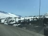 IMG_5091