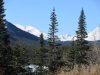 IMG_7890