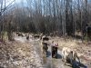 Getting a cool mud bath:)))