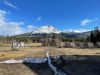 Looking out from the ranch....Lime Mountain