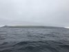 Our first view of Adak Island.....some low clouds obscuring the mountains!!!