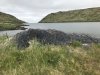 IMG_0487