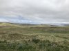 View of Sweepers Cove and the abandoned military base!