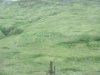 Those are old foundations/pits for various buildings