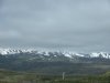 IMG_5407