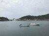 IMG_8850