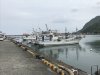 Local fishing boats
