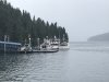 IMG_5211