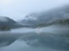 IMG_8217
