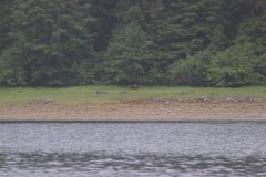 Tenakee to Sitka June 2019