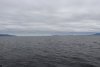 Views of chatham Strait as we enter Red Bluff Inlet