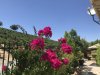 Our second visit to Viognier (new house) was on Aug 5