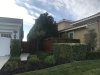 The original owners planted these trees in 2008 and the Sellers had not bothered to trim back.  They not only didn't look too good but were overgrowing the roof eaves giving the rodents easy access to the house