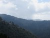 IMG_0985