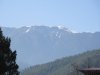 IMG_1039
