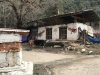 These are called phallus paintings.....painted on local/rural homes all over Bhutan. Symbolizes happiness, wisdom and drives away evil spirits